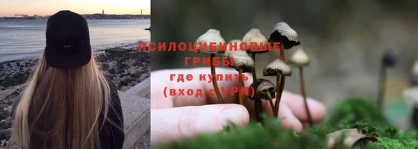 героин Каменка