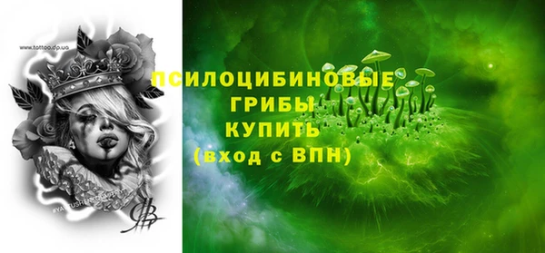 героин Каменка